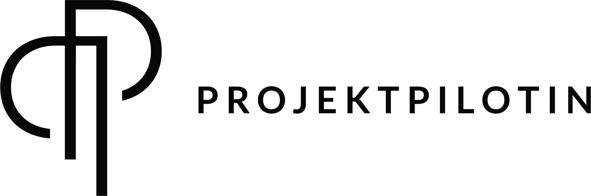 Projektpilotin
