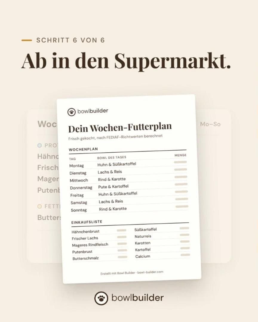 Bildschirmfoto aus Bowl Builder: der ausgedruckte Wochen-Futterplan mit der Bowl des Tages und der Einkaufsliste
