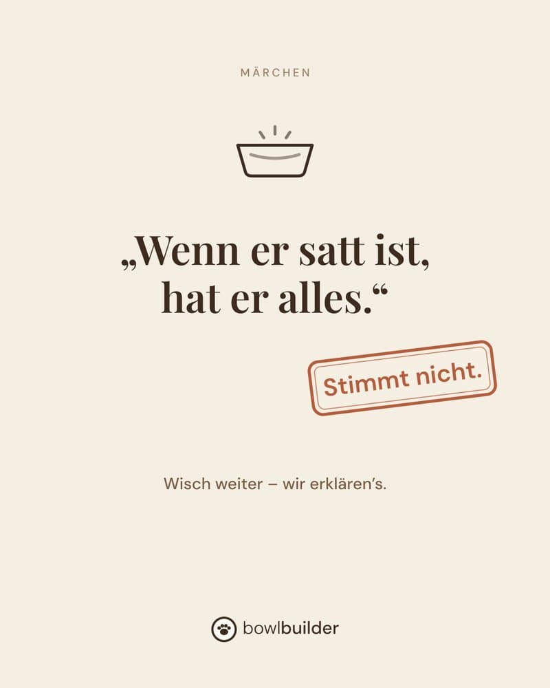 Instagram-Post von Bowl Builder aus der Serie über Fütterungsmärchen